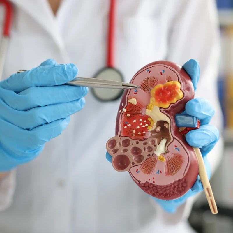 urologia-krakow Urolog Kraków